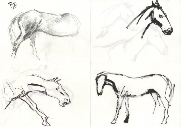 Рисование лошади