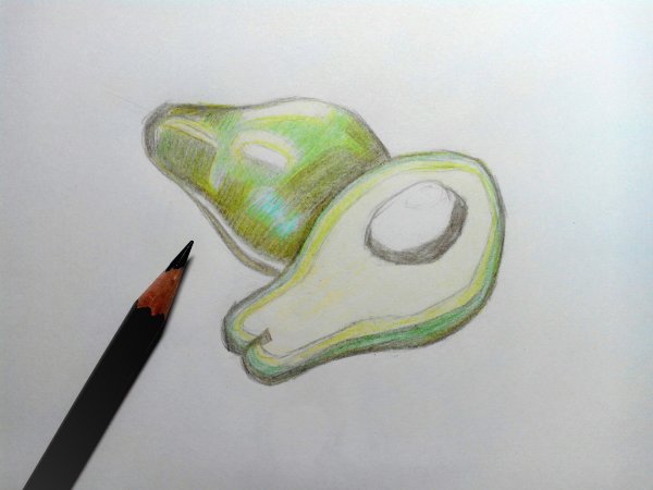 Авокадо цветными карандашами