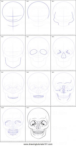 Череп рисунок пошагово