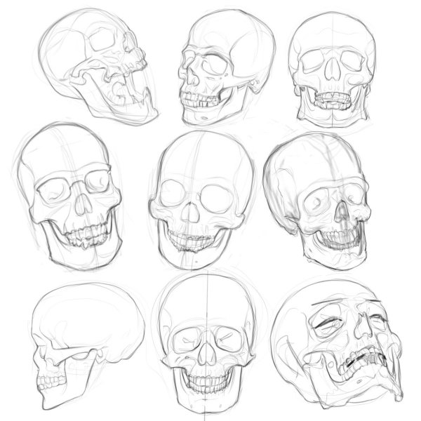 Рисунок по точкам череп