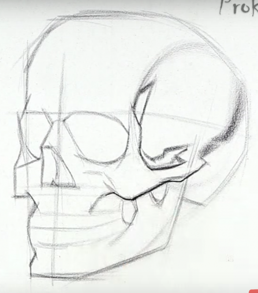 Уроки рисования черепа