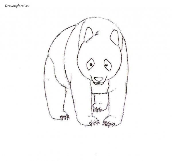 Большая Панда рисунок карандашом