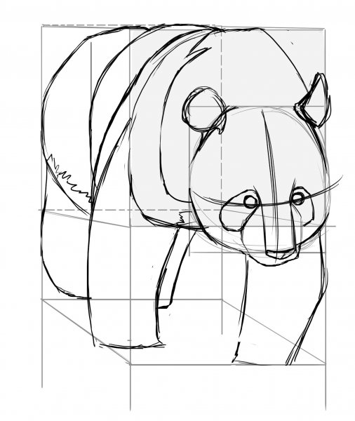 Рисунок карандашом по степенно панду