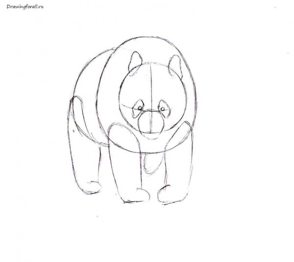 Поэтапный рисунок панды
