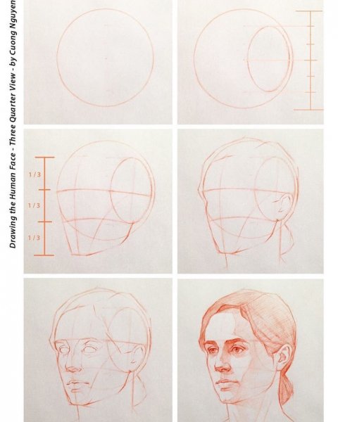 Этапы рисования головы