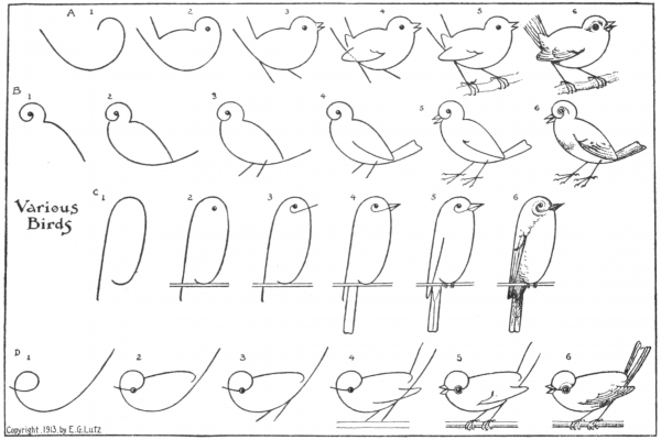 Рисование птиц для детей