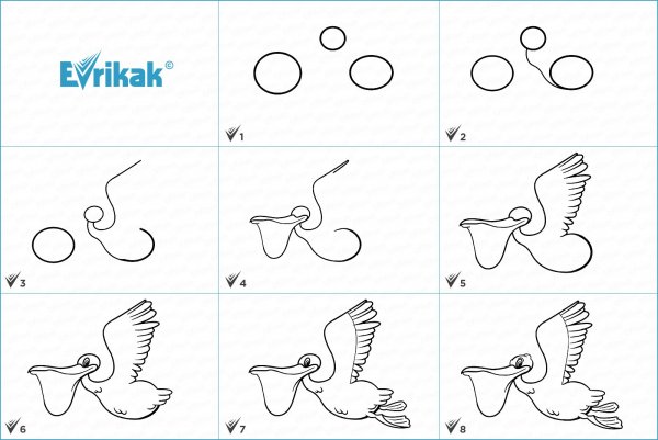 Рисование птицы поэтапно