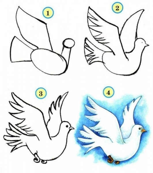 Поэтапное рисование птиц