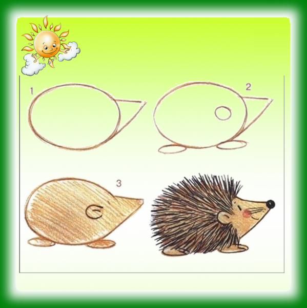Пошаговое рисование ежика