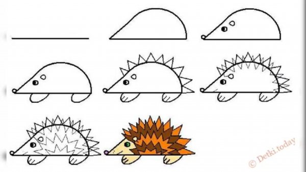 Поэтапное рисование ежика