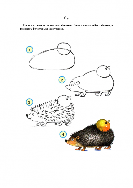 Ежик поэтапное рисование для детей