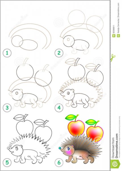 Ежик поэтапное рисование для детей