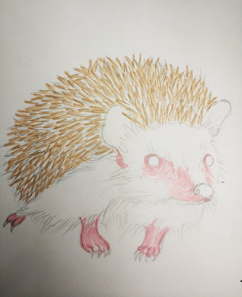 Рисование ежа