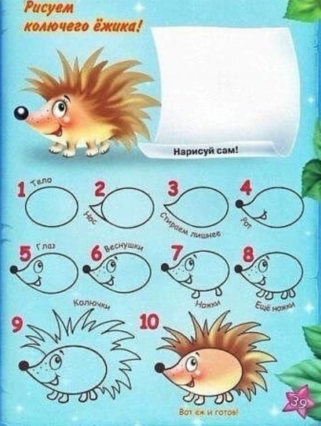 Учимся рисовать ежа