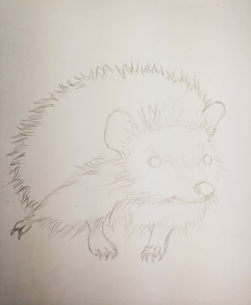 Рисование Ежик