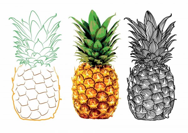 Стилизованный ананас