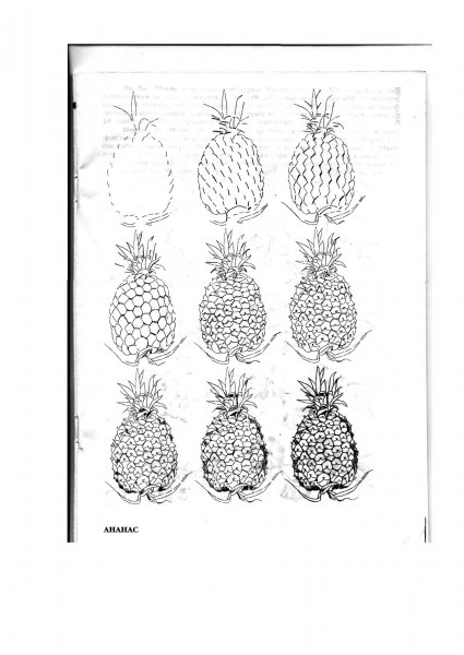Как нарисовать Аманкос поэтапно