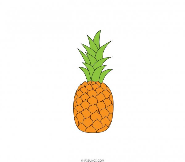 Нарисовать ананас карандашом