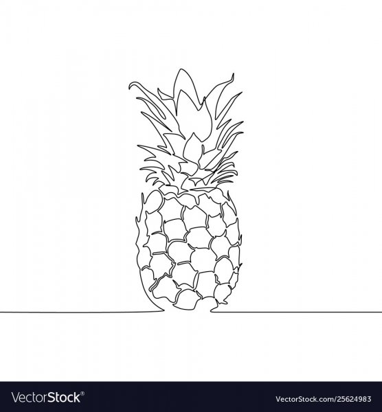 Рисунки одной линией ананас