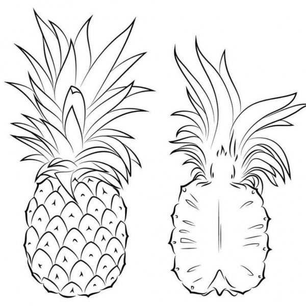 Ананас крупнохохолковый