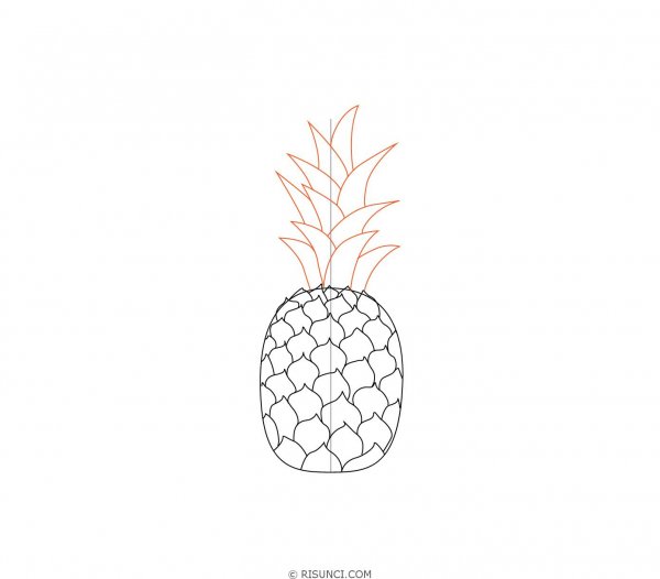 Поэтапное рисование ананаса