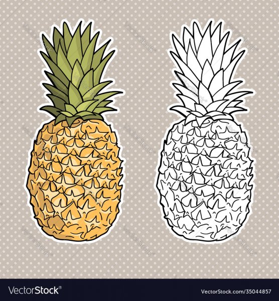 Фрукты в графике стилизация ананас