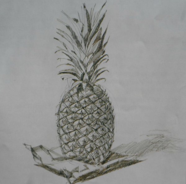 Ананас карандашом