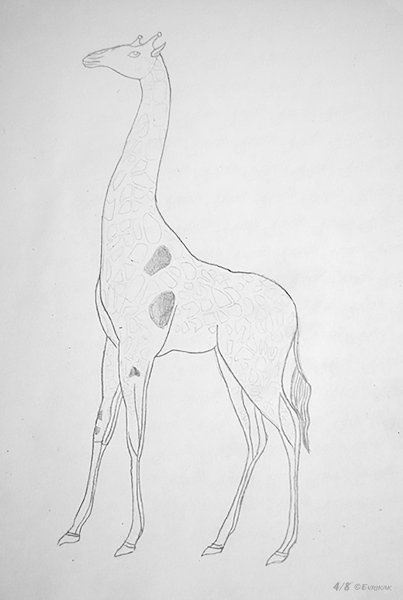 Нарисовать жирафа карандашом