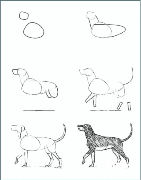 Схема рисования собаки