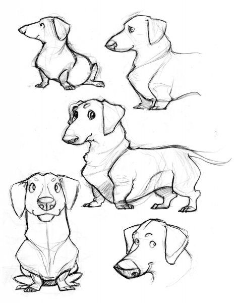 Такса эскиз