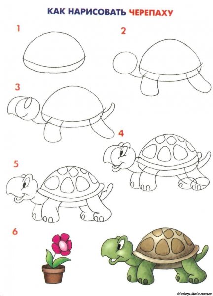 Как нарисовать черепаху