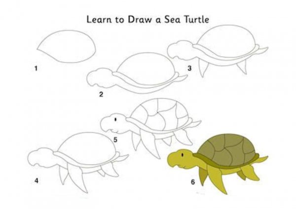 Черепаха поэтапное рисование для детей
