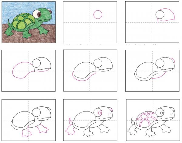 Черепаха рисунок для детей пошагово