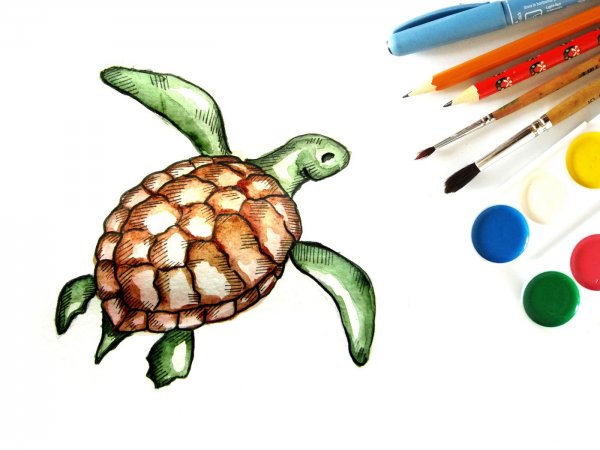 Черепаха картинки мультяшные