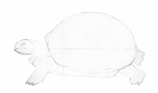 Мультяшная черепашка рисунок простым карандашом