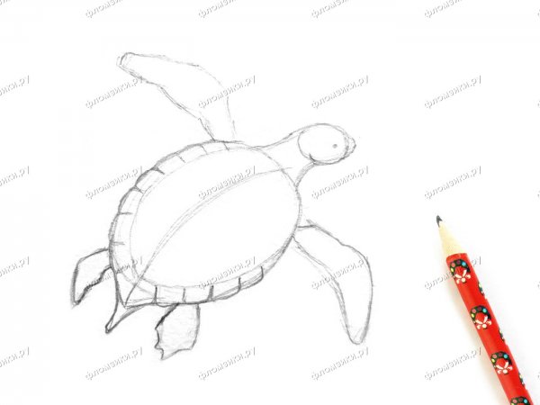 Рисуем черепаху стоя поэтапно