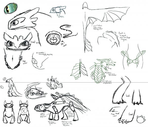 Анатомия ночной фурии дракона