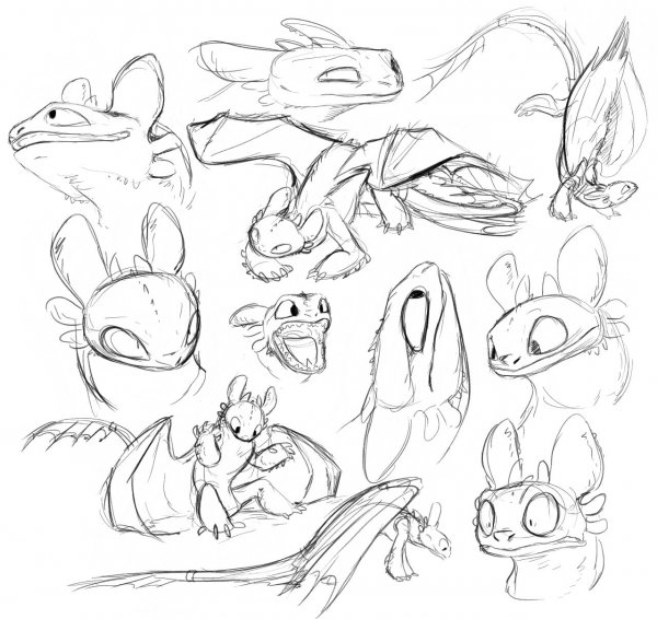 Анатомия ночной фурии