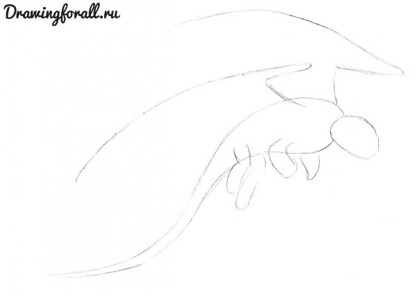 Беззубик рисунок карандашом