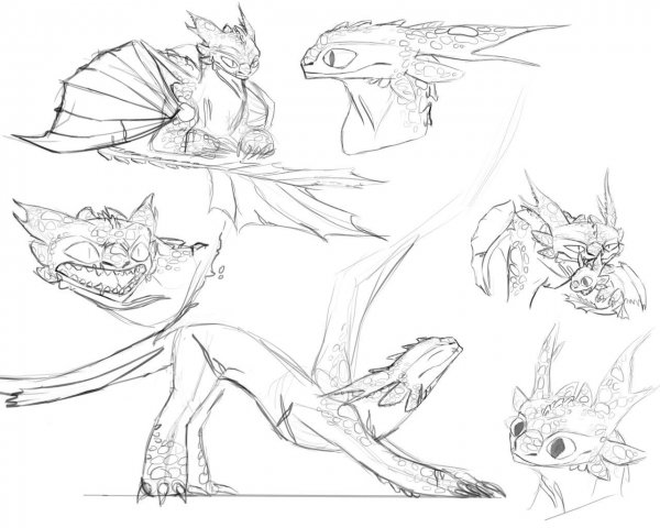 Лайн дракона ночной фурии