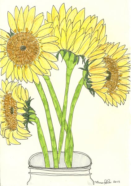 Подсолнух зарисовка