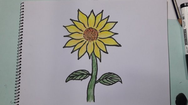 Подсолнух схема рисования