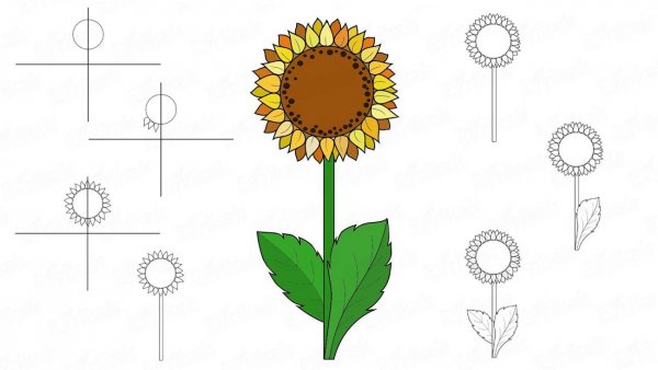 Нарисовать подсолнух