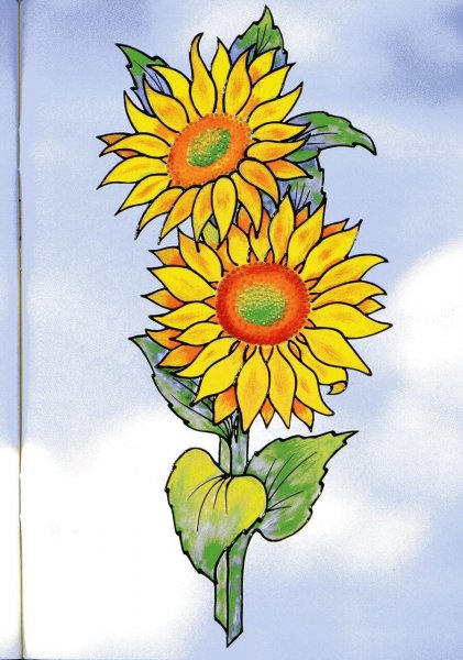 Пошаговое рисование подсолнуха