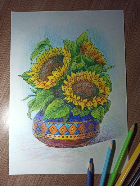 Рисунки подсолнухов карандашом