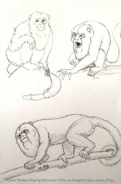 Мартышка набросок