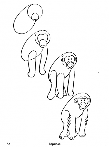 Горилла рисунок для детей поэтапно