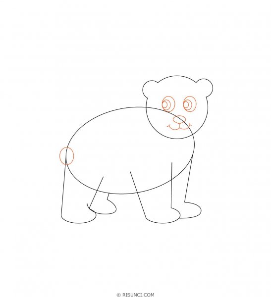 Поэтапное рисование медведя для дошкольников