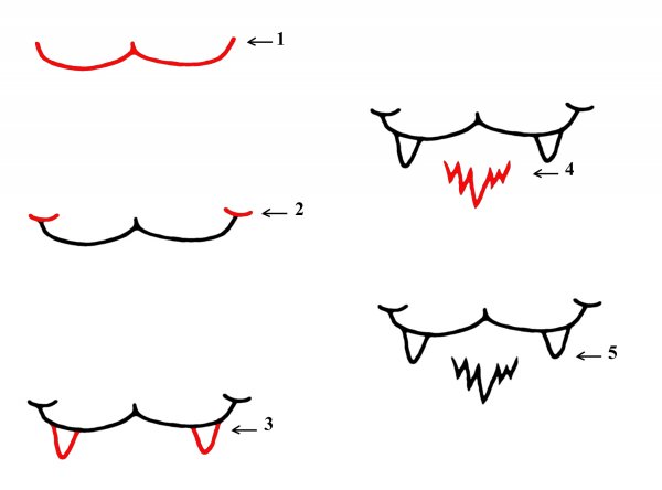 Рисуем кошачий рот