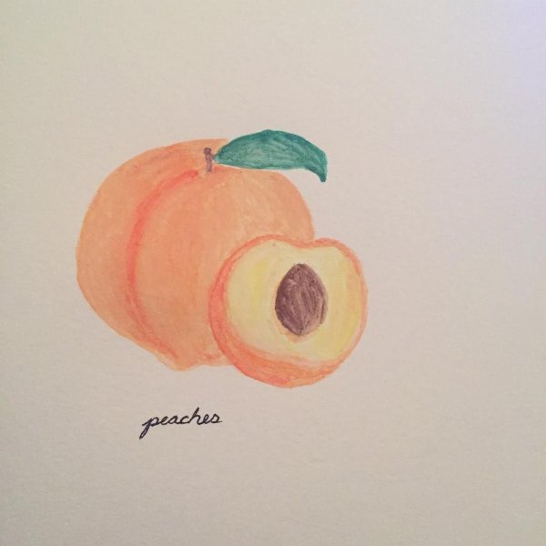 Персик карандашом